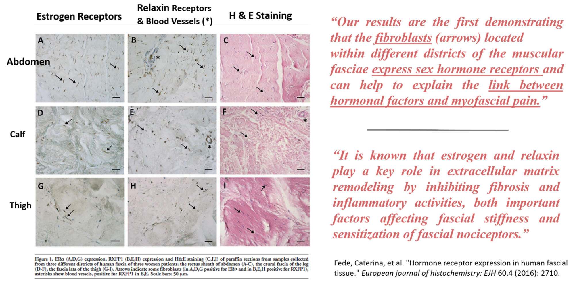 Fascia Diagram